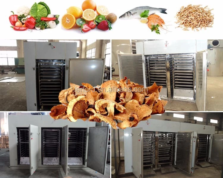 Jackfruit Drying Machine: Jackfruit Drying Machine: