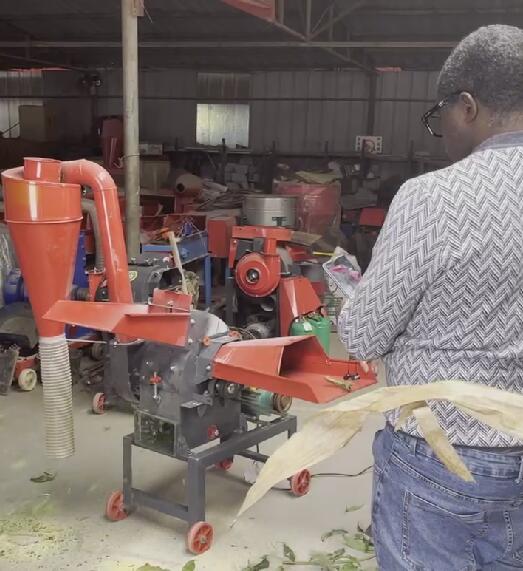 grain grinder grain grinder