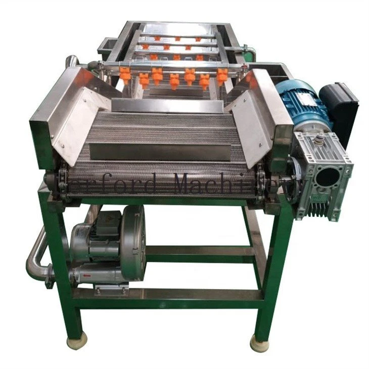 vegetable washing machine