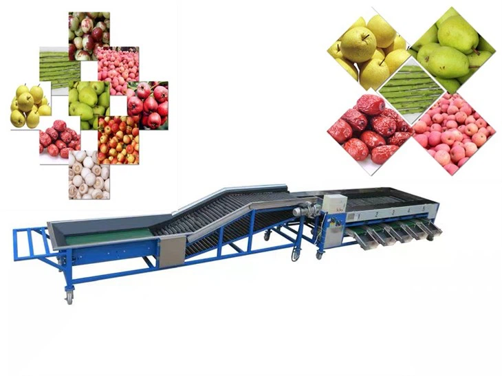 Pomegranate Sorting Grading Machine